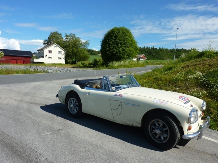 Austin Healey Rinus Sinke rallywagen wit